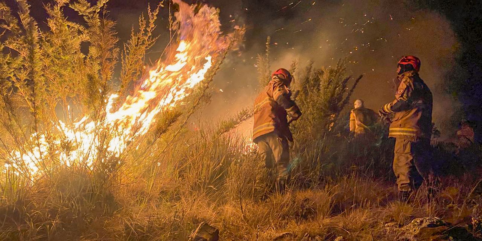 Ministério Público investiga incêndio no Parque Nacional do Itatiaia