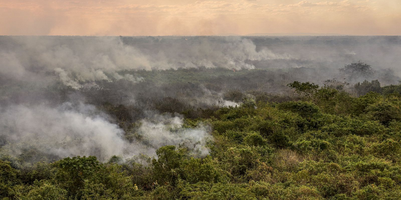 Pantanal poderá ter crise hídrica histórica em 2024, aponta estudo