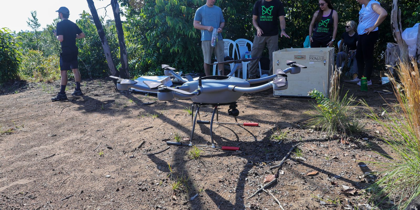 Tecnologias para mapear florestas tropicais favorecem transição verde