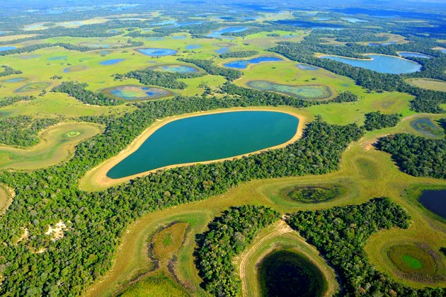 Comissão do Senado aprova projeto que cria Estatuto do Pantanal