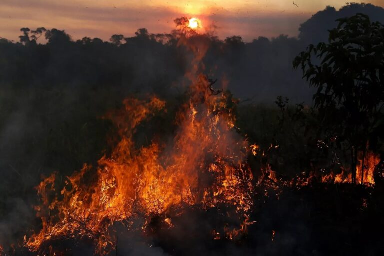 Unicef alerta sobre qualidade do ar insalubre em cidades do Amazonas