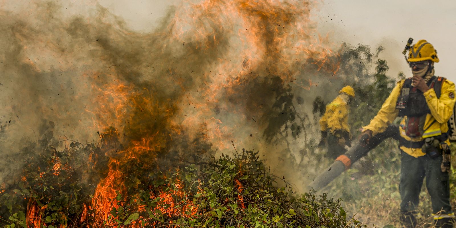 Fogo já consumiu 1,3 milhão de hectares e volta a aumentar no Pantanal