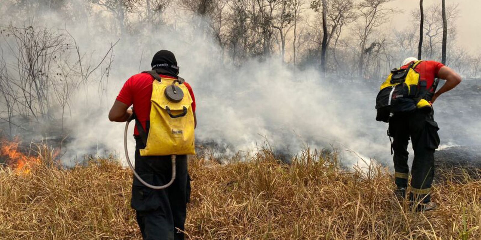 Incêndio na Floresta Nacional de Brasília é extinto