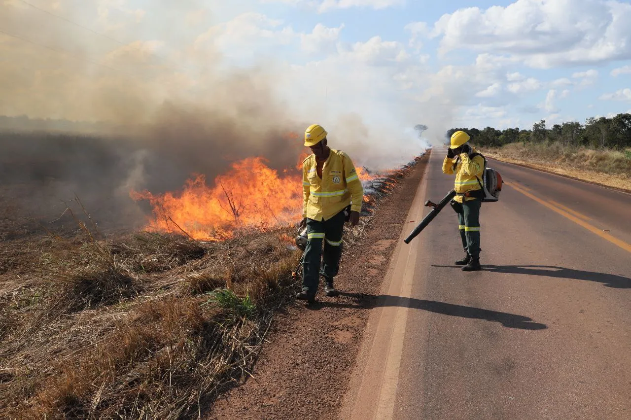 MPF aciona justiça para contratação de brigadistas contra incêndios