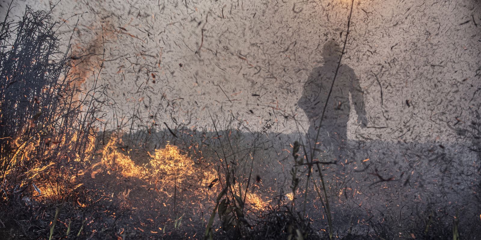 Focos de incêndios no Brasil já são 76% maior que em 2023