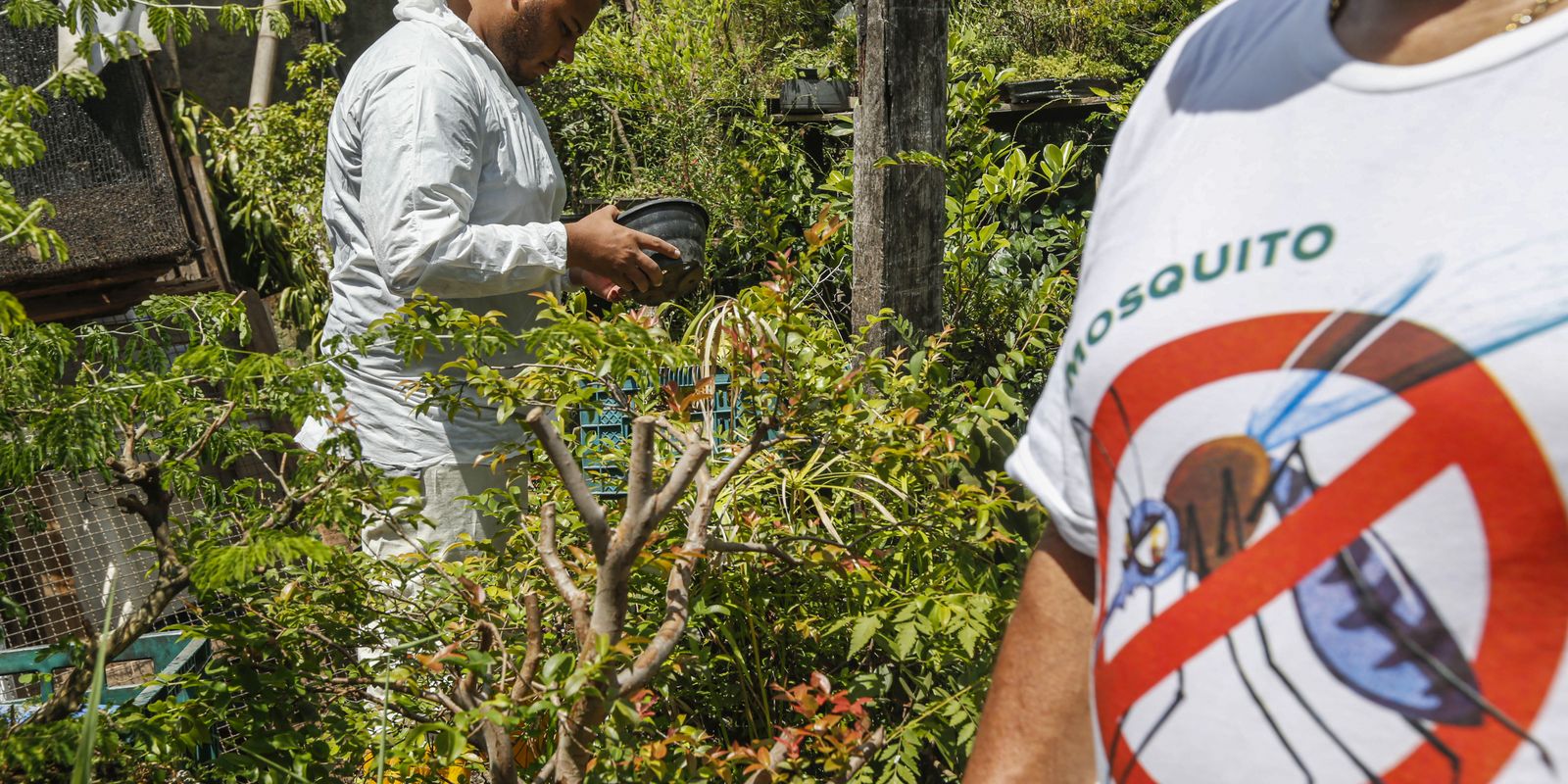 Dia D contra dengue promove ações de conscientização em todo Brasil